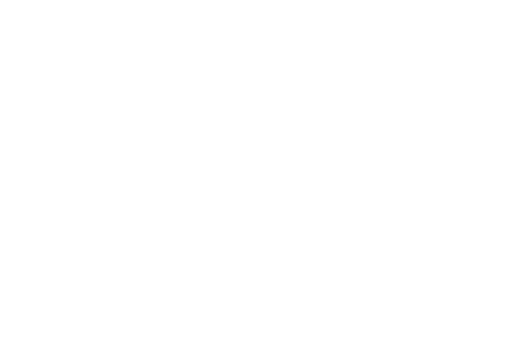 mwani-logistics-services